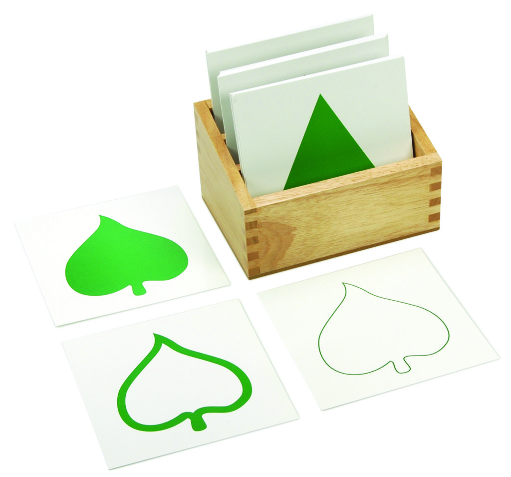 กล่องใส่การ์ดภาพใบไม้และการ์ดภาพใบไม้